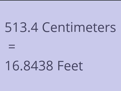 513.4 CM TO FEET