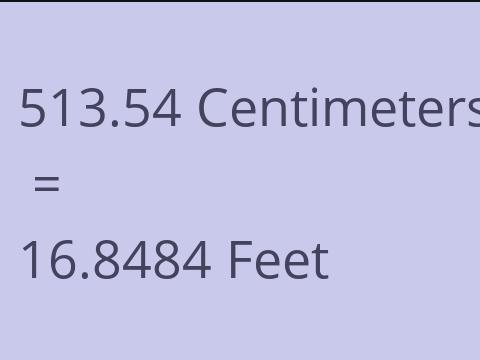 513.54 CM TO FEET