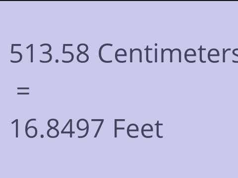 513.58 CM TO FEET