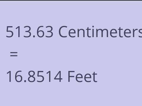 513.63 CM TO FEET