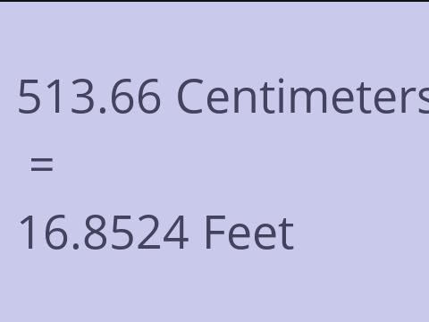 513.66 CM TO FEET