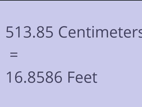 513.85 CM TO FEET