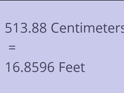 513.88 CM TO FEET