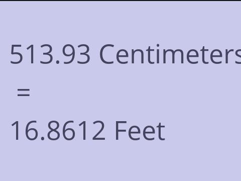 513.93 CM TO FEET