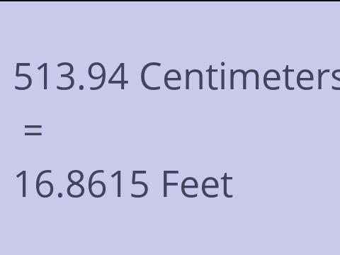 513.94 CM TO FEET