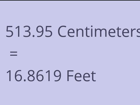 513.95 CM TO FEET