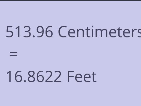 513.96 CM TO FEET