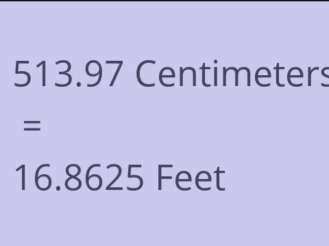 513.97 CM TO FEET