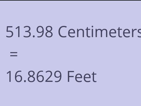 513.98 CM TO FEET