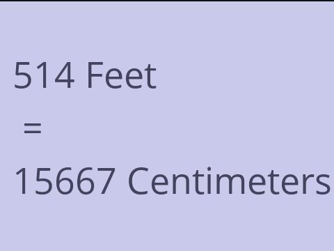 514 FEET TO CM