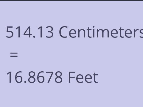 514.13 CM TO FEET