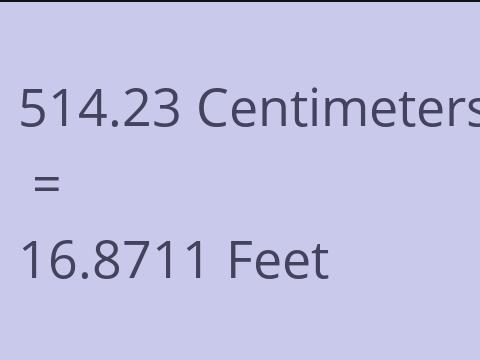 514.23 CM TO FEET