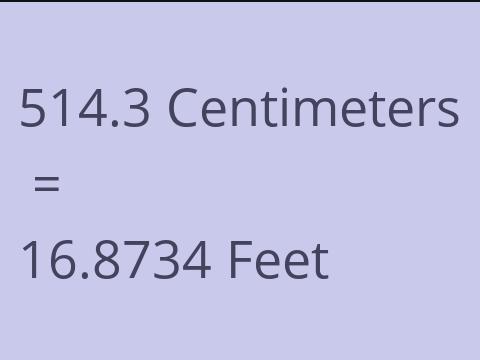 514.3 CM TO FEET