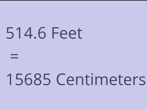 514.6 FEET TO CM