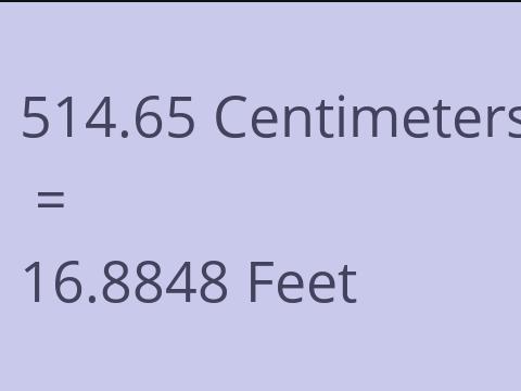 514.65 CM TO FEET