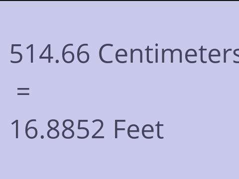 514.66 CM TO FEET