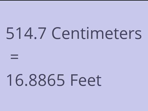 514.7 CM TO FEET