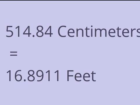 514.84 CM TO FEET