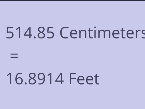 514.85 CM TO FEET