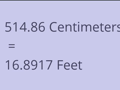 514.86 CM TO FEET