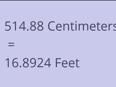 514.88 CM TO FEET