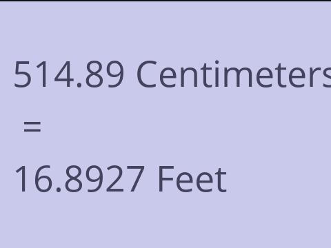 514.89 CM TO FEET