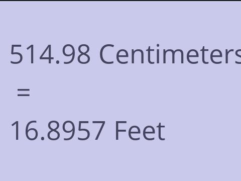 514.98 CM TO FEET