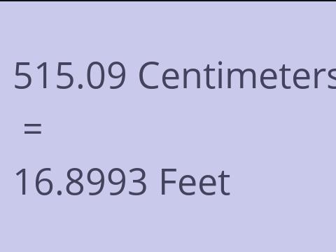 515.09 CM TO FEET