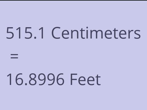 515.1 CM TO FEET