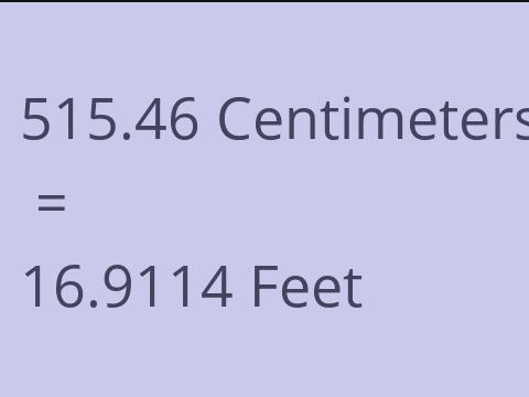 515.46 CM TO FEET