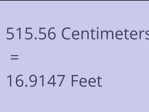 515.56 CM TO FEET