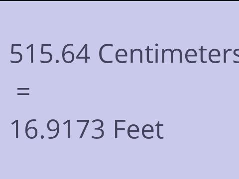 515.64 CM TO FEET