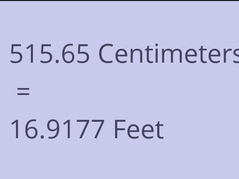 515.65 CM TO FEET