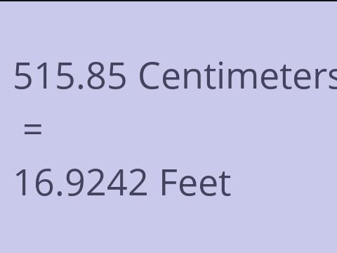 515.85 CM TO FEET