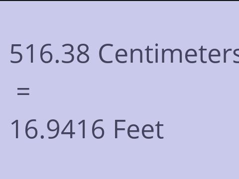 516.38 CM TO FEET