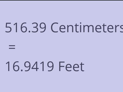 516.39 CM TO FEET