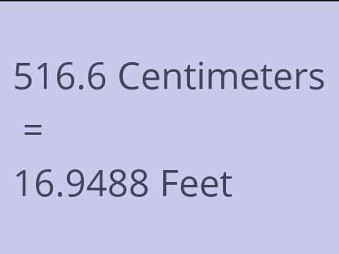 516.6 CM TO FEET