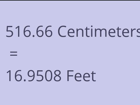 516.66 CM TO FEET