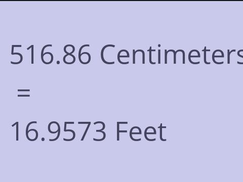 516.86 CM TO FEET