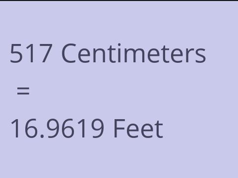 517 CM TO FEET