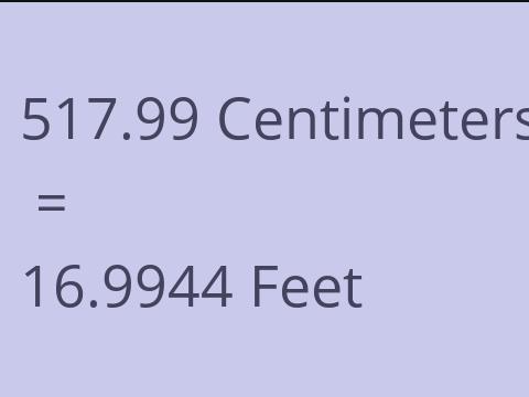 517.99 CM TO FEET