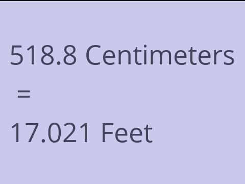 518.8 CM TO FEET