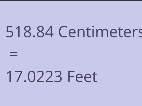 518.84 CM TO FEET