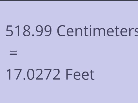 518.99 CM TO FEET