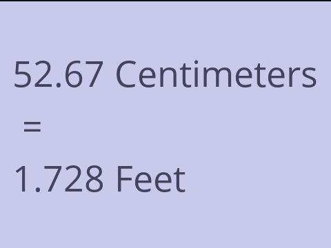 52.67 CM TO FEET