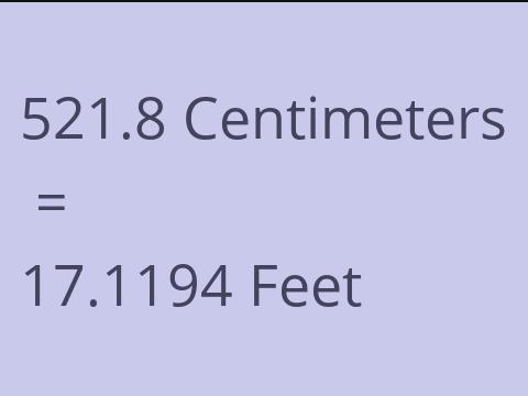 521.8 CM TO FEET