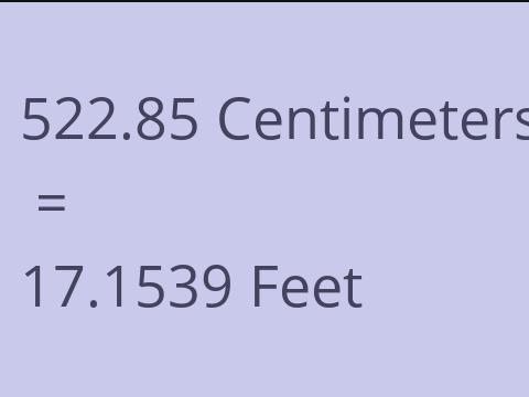 522.85 CM TO FEET