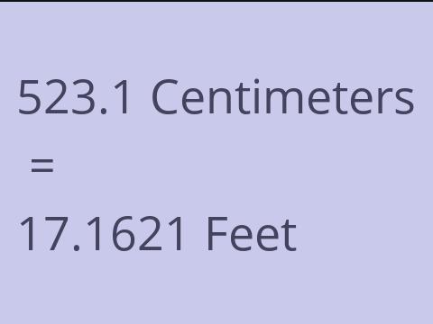 523.1 CM TO FEET