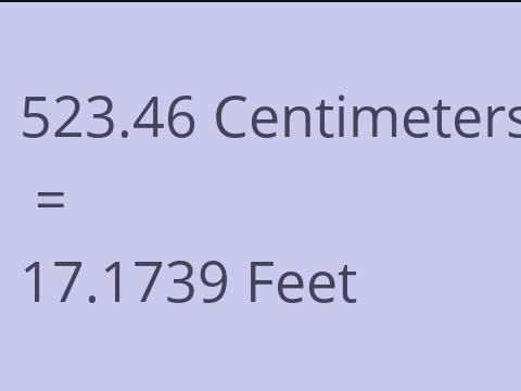 523.46 CM TO FEET