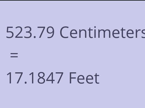 523.79 CM TO FEET